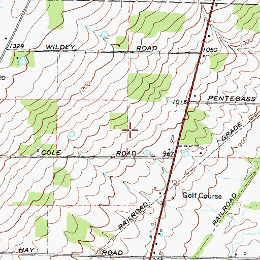 Topographic Map of Woodlynn Hills Golf Course, NY