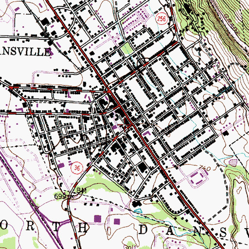 Topographic Map of Dansville Village Hall, NY