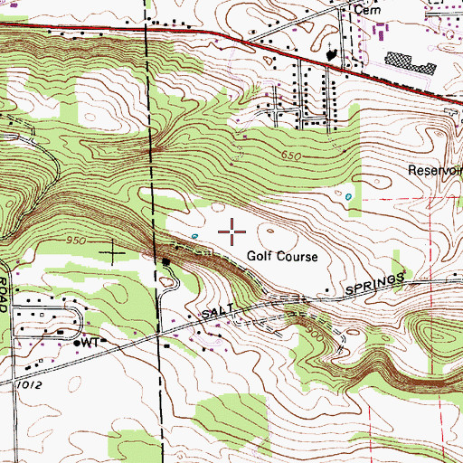 Topographic Map of Skyridge Golf Course, NY