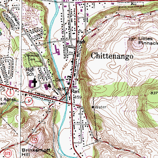 Topographic Map of Chittenango Village Hall, NY
