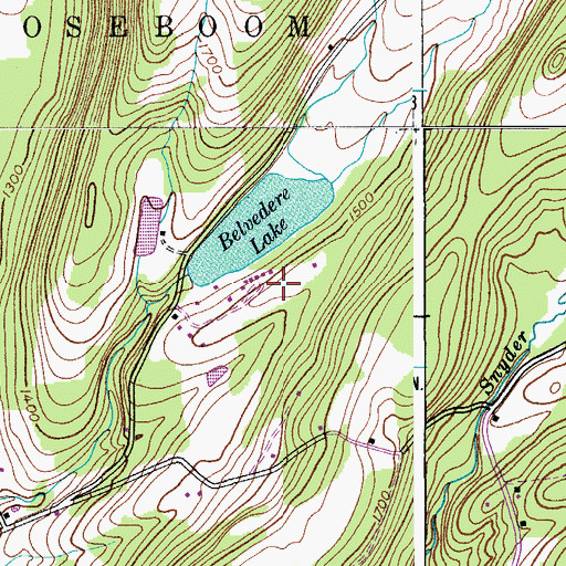 Topographic Map of Belvedere Lake Resort, NY