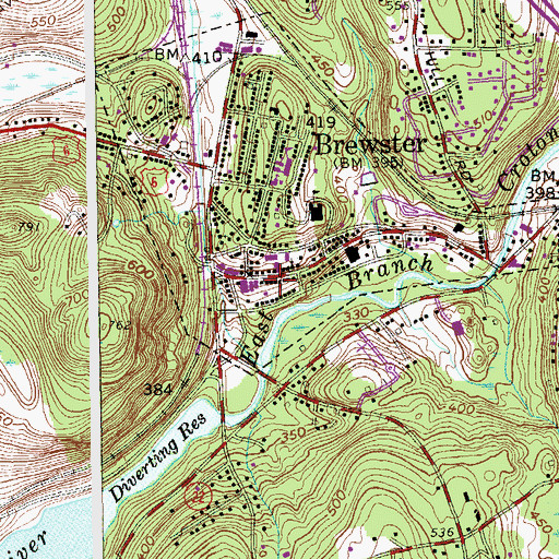 Topographic Map of Brewster Public Library, NY