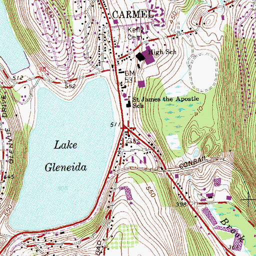 Topographic Map of Reed Memorial Library, NY
