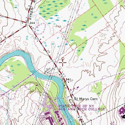 Topographic Map of Country Meadows Trailer Park, NY