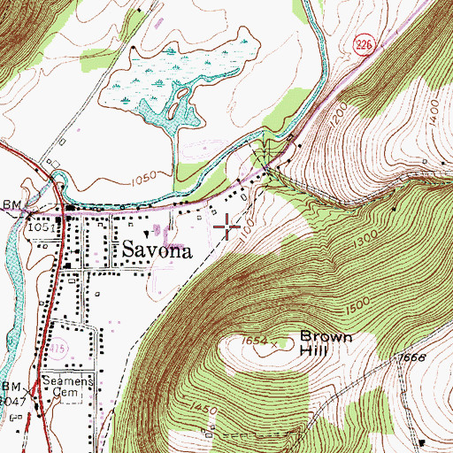 Topographic Map of Savona Estates Mobile Home Park, NY