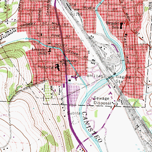 Topographic Map of Hornell Gardens, NY