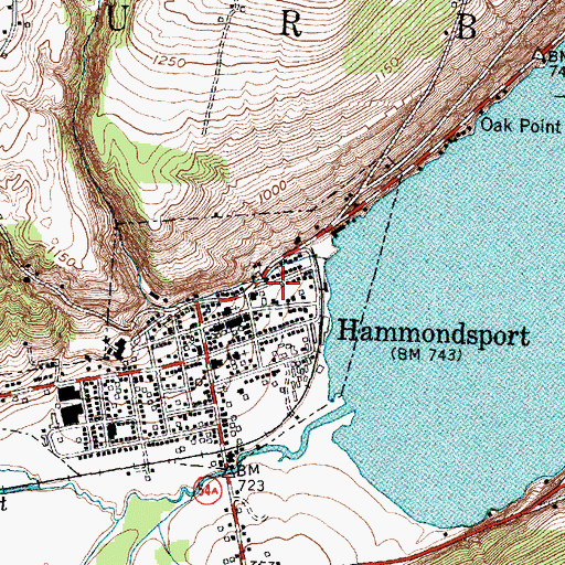 Topographic Map of Hammondsport Public Library, NY