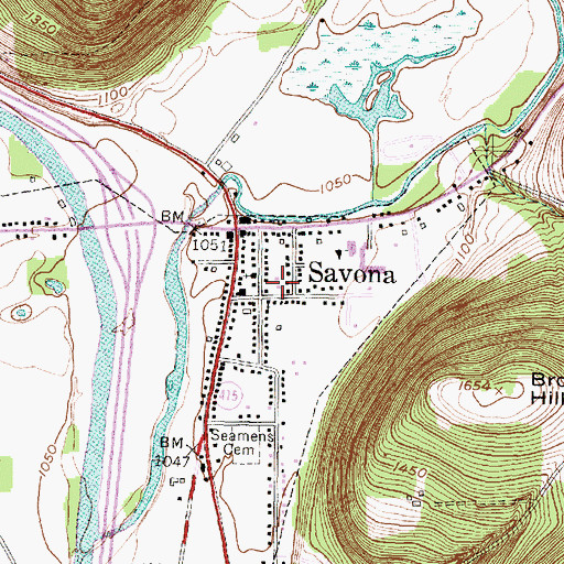 Topographic Map of Savona Free Library, NY