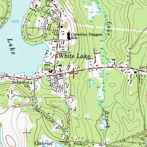 Topographic Map of White Lake Post Office, NY