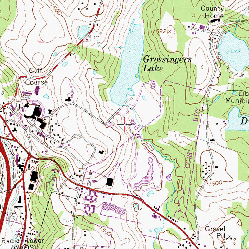 Topographic Map of Grossinger Country Club, NY