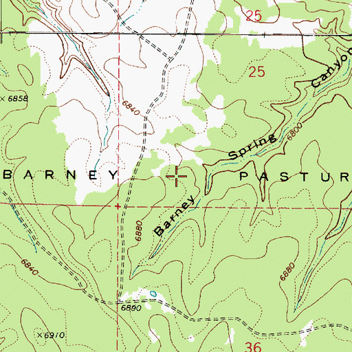 Topographic Map of Barney Pasture, AZ