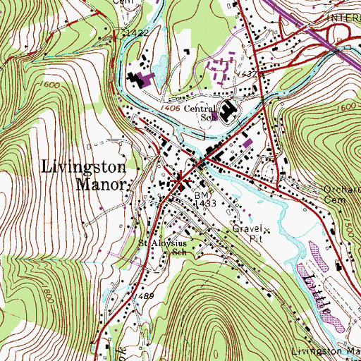 Topographic Map of Livingston Manor Free Library, NY