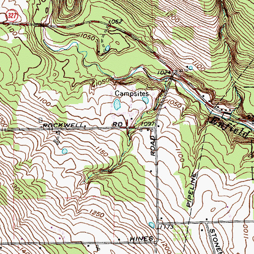 Topographic Map of Pinecreek Campground, NY