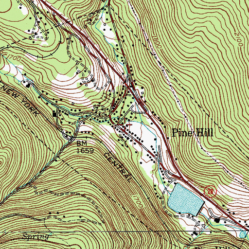 Topographic Map of Pine Hill Post Office, NY