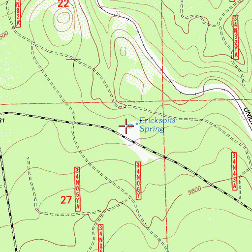 Topographic Map of Ericksons Spring, CA