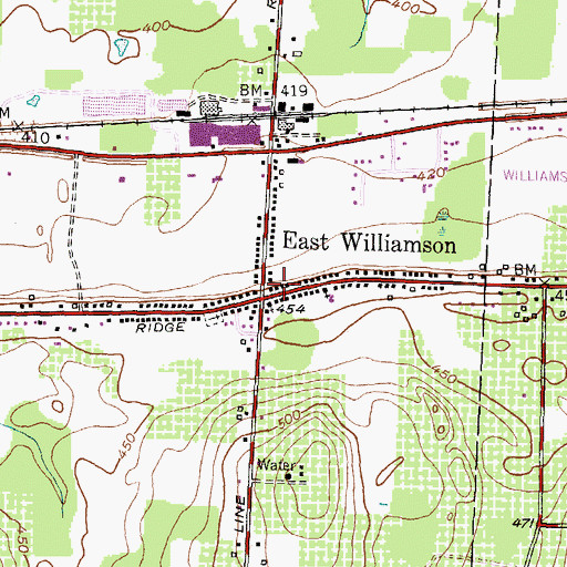 Topographic Map of East Williamson Post Office, NY