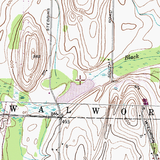 Topographic Map of Blue Heron Hills Country Club, NY