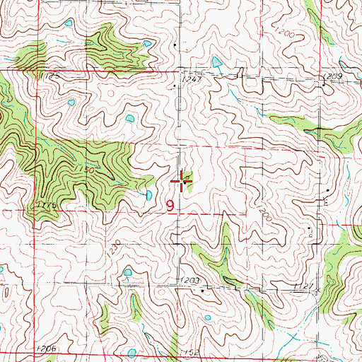 Topographic Map of Diagonal First Response Team, IA