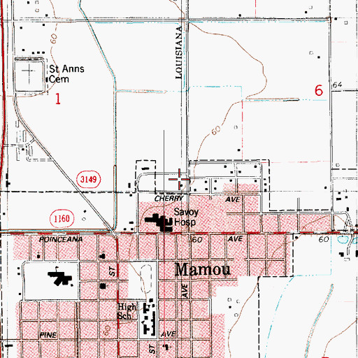 Topographic Map of Savoy Care Center, LA