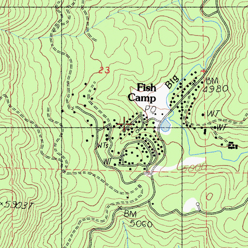 Topographic Map of Fish Camp, CA