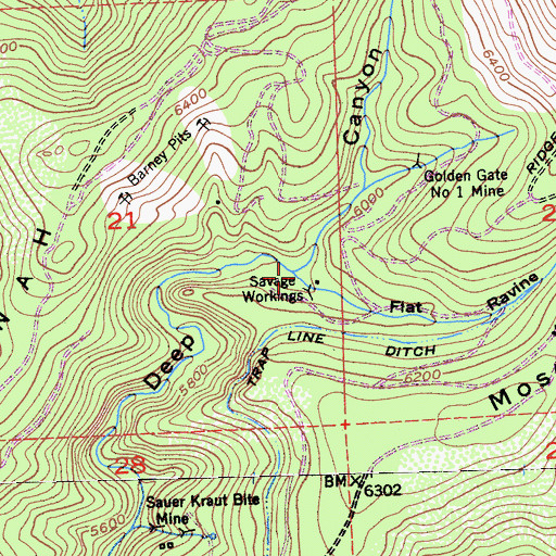 Topographic Map of Flat Ravine, CA