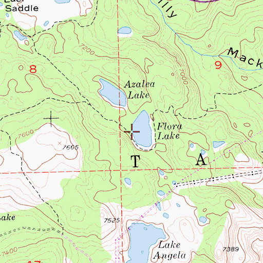 Topographic Map of Flora Lake, CA