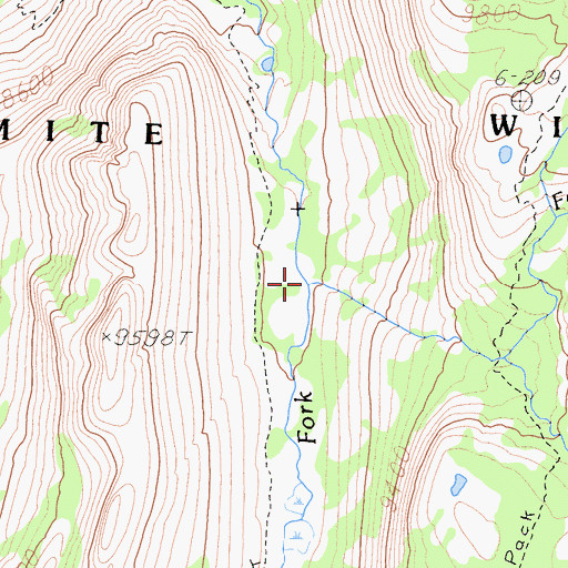 Topographic Map of Foerster Creek, CA