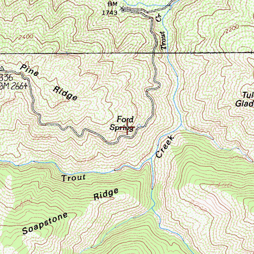 Topographic Map of Ford Spring, CA