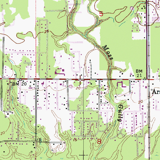 Topographic Map of Saint Theodore Catholic Church, LA