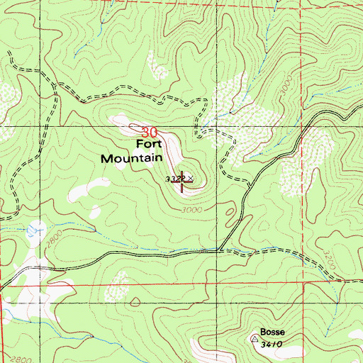 Topographic Map of Fort Mountain, CA