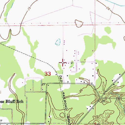 Topographic Map of Straight Way Baptist Church, LA