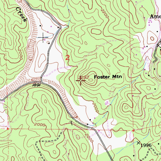Topographic Map of Foster Mountain, CA