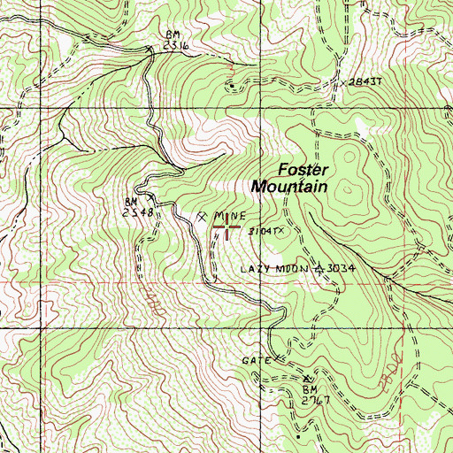 Topographic Map of Foster Mountain, CA