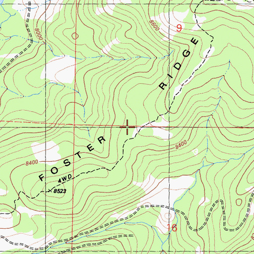 Topographic Map of Foster Ridge, CA