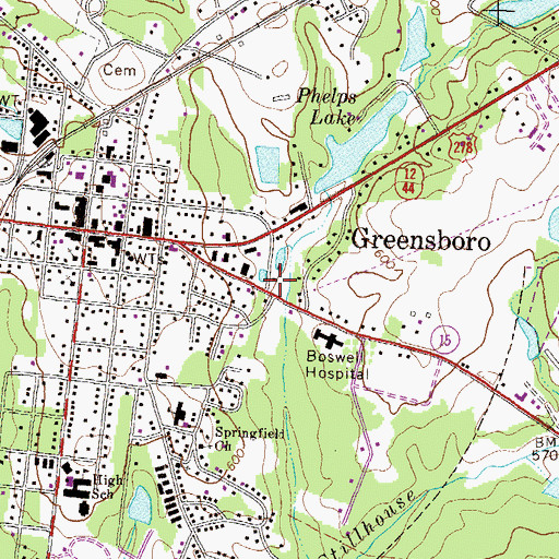 Topographic Map of Greensboro Volunteer Fire Department, GA