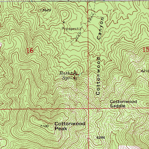 Topographic Map of Bathtub Spring, AZ
