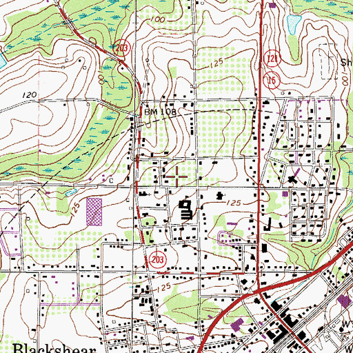Topographic Map of Blackshear Fire Department Station 2, GA