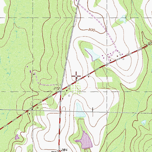 Topographic Map of Colquitt County Volunteer Firefighters Association Fire Station 52 Westside, GA
