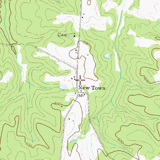 Topographic Map of Newtown Fire Department, GA