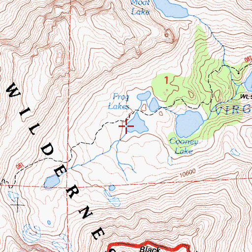 Topographic Map of Frog Lakes, CA