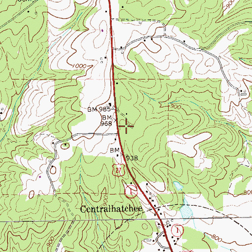 Topographic Map of Centralhatchee Fire Department Station 4, GA