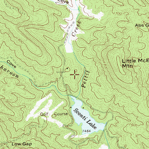 Topographic Map of Big Canoe Fire Department Station 3, GA