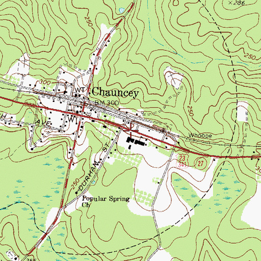 Topographic Map of Chauncey Fire Department, GA