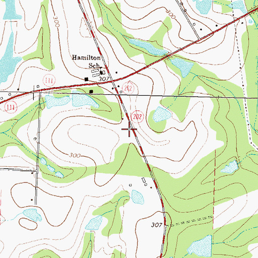 Topographic Map of Colquitt County Volunteer Firefighters Association Fire Station 51 Hamilton, GA