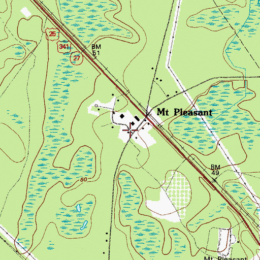 Topographic Map of Wayne County Fire Department Mount Pleasant Station, GA