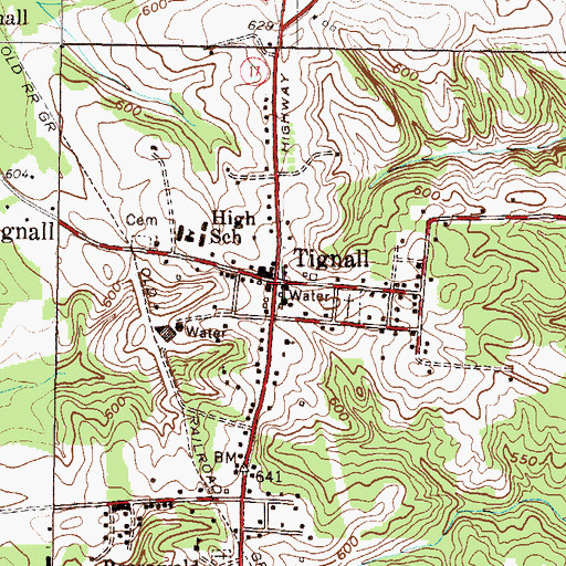 Topographic Map of Tignall Fire Department, GA