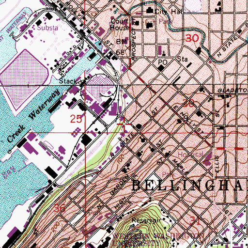 Topographic Map of Depot Market Square, WA