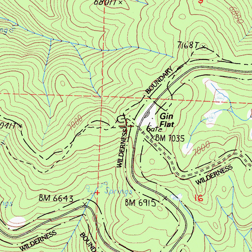 Topographic Map of Gin Flat, CA