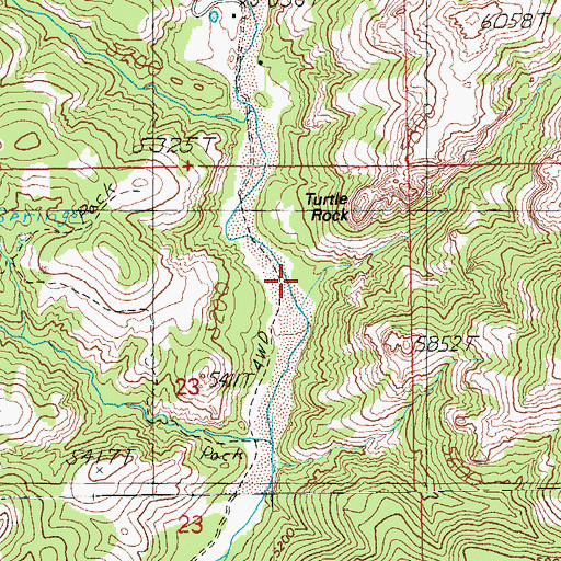 Topographic Map of Bear Canyon, AZ