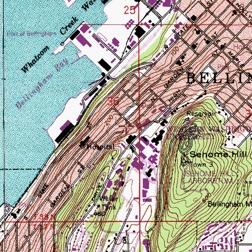 Topographic Map of Western Washington University Viking Union, WA